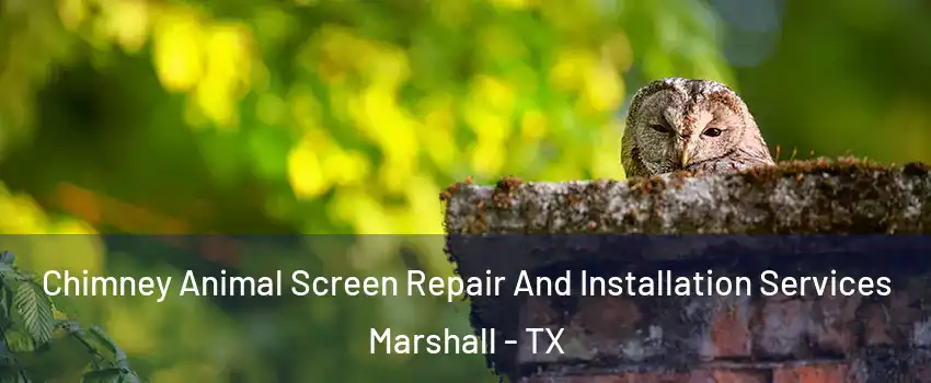  Chimney Animal Screen Repair And Installation Services Marshall - TX