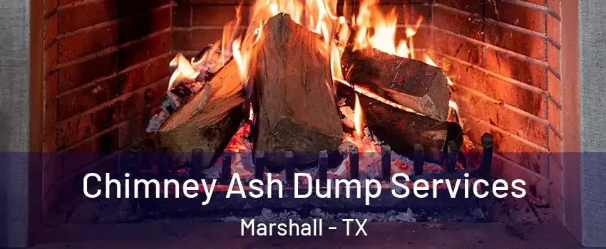  Chimney Ash Dump Services Marshall - TX