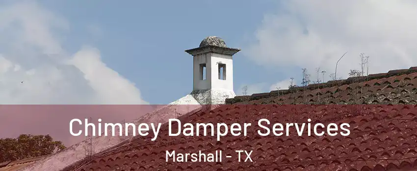  Chimney Damper Services Marshall - TX