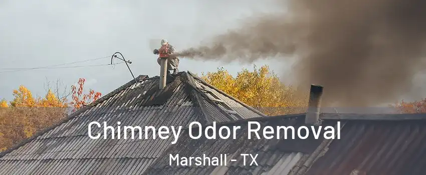  Chimney Odor Removal Marshall - TX