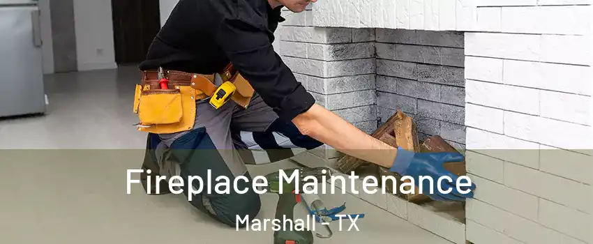  Fireplace Maintenance Marshall - TX