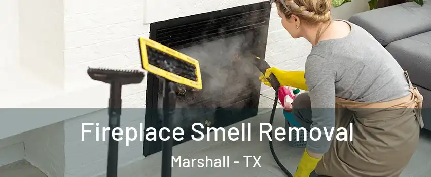  Fireplace Smell Removal Marshall - TX
