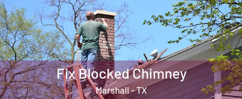  Fix Blocked Chimney Marshall - TX