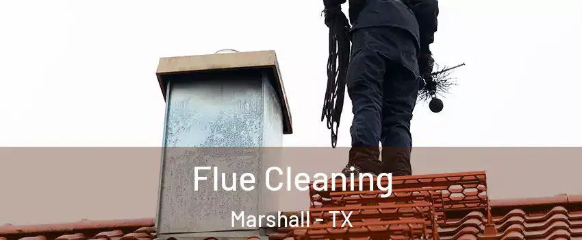  Flue Cleaning Marshall - TX