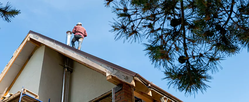 Birds Removal Contractors from Chimney in Marshall, TX