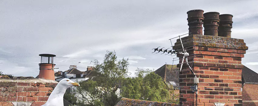 Chimney Cleaning And Restoration in Marshall, Texas