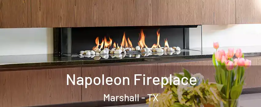  Napoleon Fireplace Marshall - TX