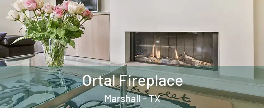 Ortal Fireplace Marshall - TX